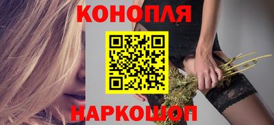 шишки Моздок