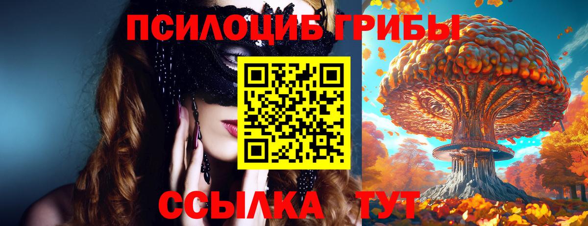 Галлюциногенные грибы Psilocybe  Псилоцибиновые грибы Magic Shrooms  Вход с VPN  наркотики  Баксан 