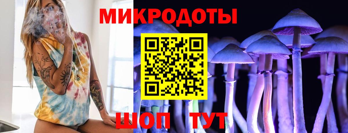 Галлюциногенные грибы Psilocybine cubensis Баксан